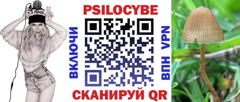 купить наркоту  Белая Холуница  ОМГ ОМГ ССЫЛКА  Псилоцибиновые грибы мухоморы 